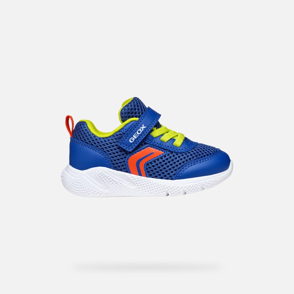 Geox: Sprintye Velcro Trainers - Royal / Red - Acorn & Pip_Geox