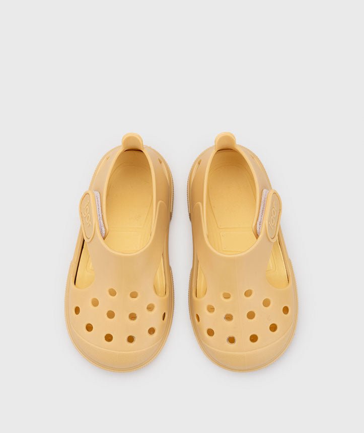 Igor: Surfi - Dijon - Acorn & Pip_Igor