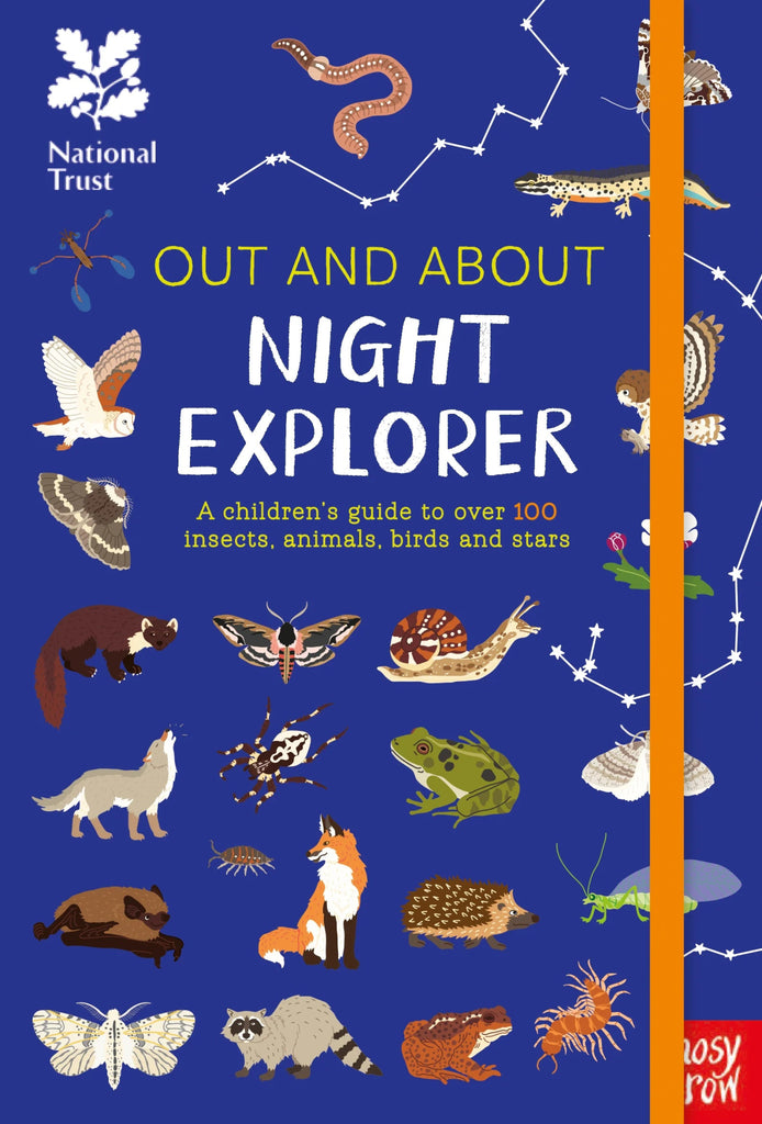 Out & About Night Explorer - Acorn & Pip_Bookspeed