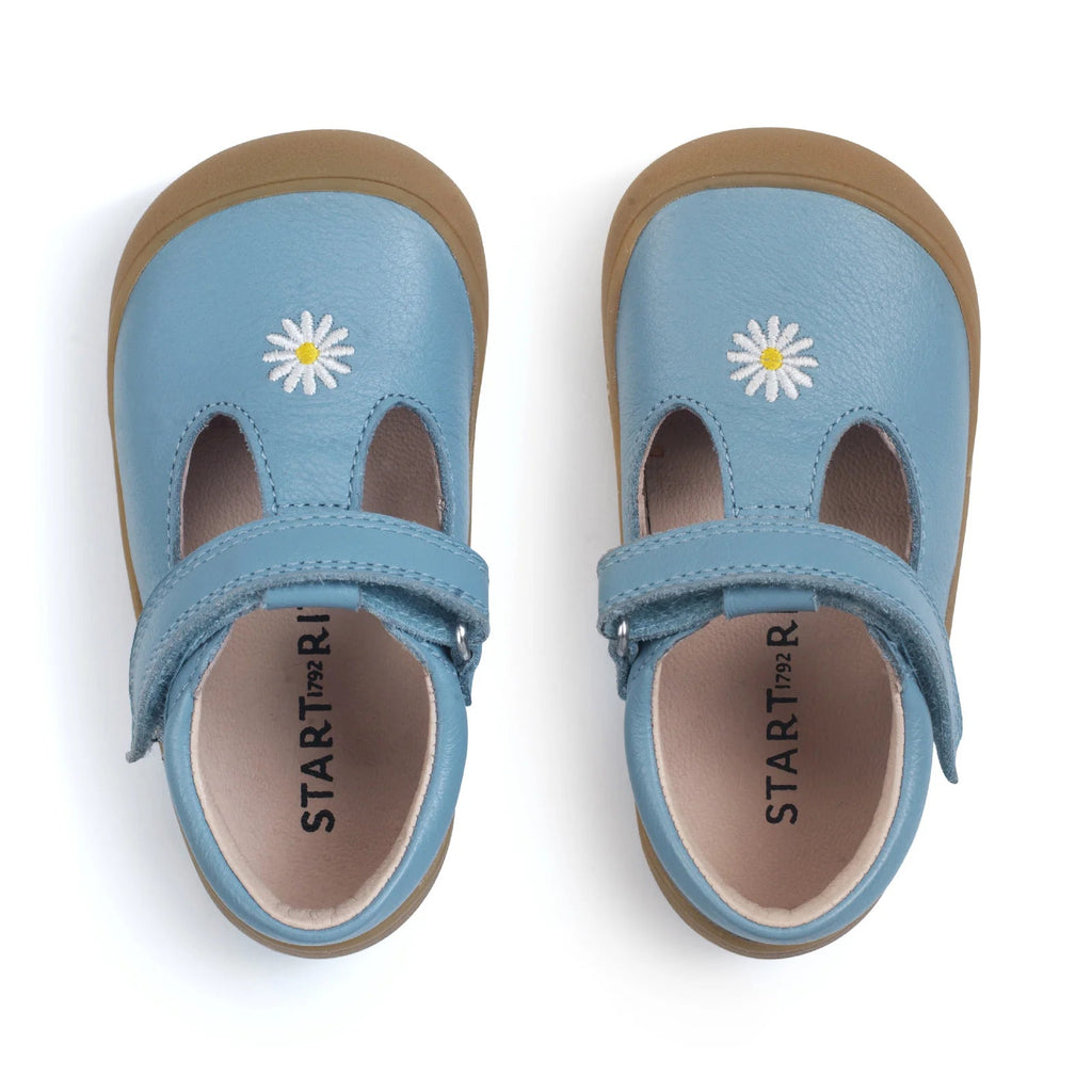 Start - Rite: Floret - Cornflower Blue Leather Daisy - Acorn & Pip_Start Rite