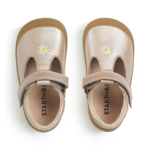 Start - Rite: Floret - Taupe Pearlised Leather Daisy - Acorn & Pip_Start Rite