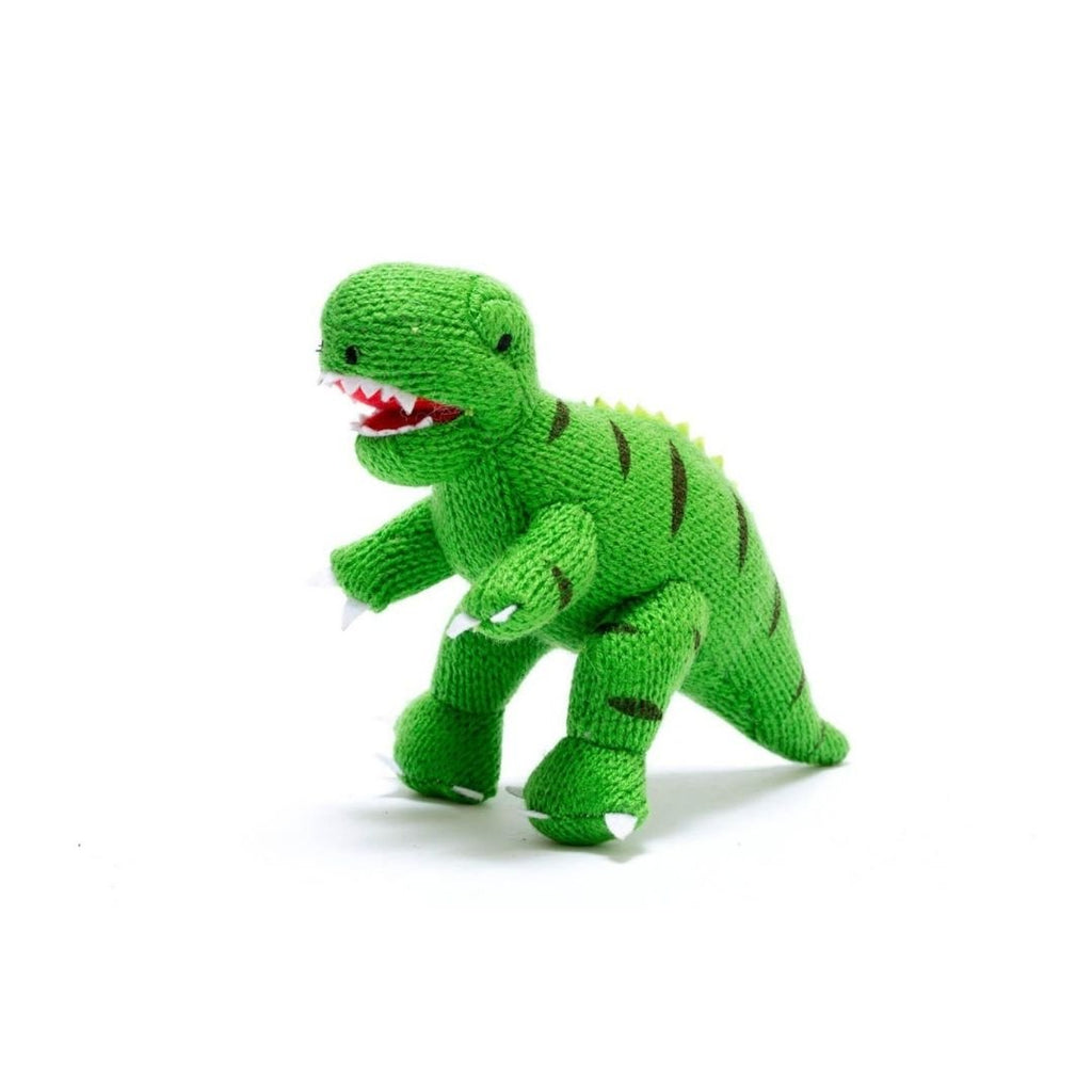 Knitted Green T-Rex Rattle - Acorn & Pip_Best Years